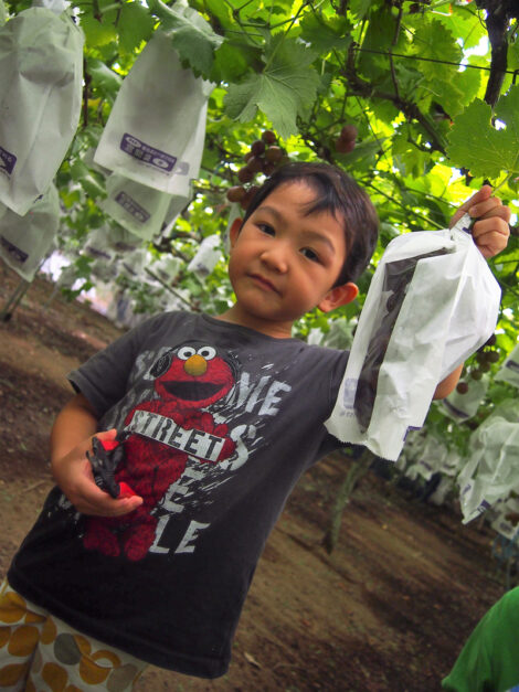 「なつやすみわくわくカレッジ」と「おやこルーム」のお知らせ！