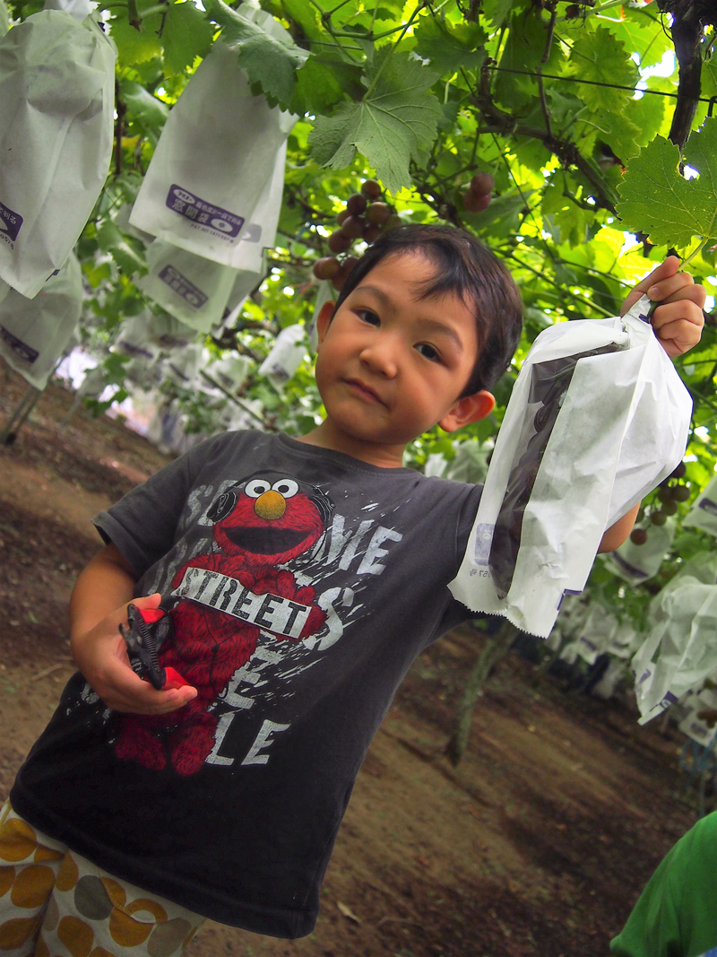 「なつやすみわくわくカレッジ」と「おやこルーム」のお知らせ！